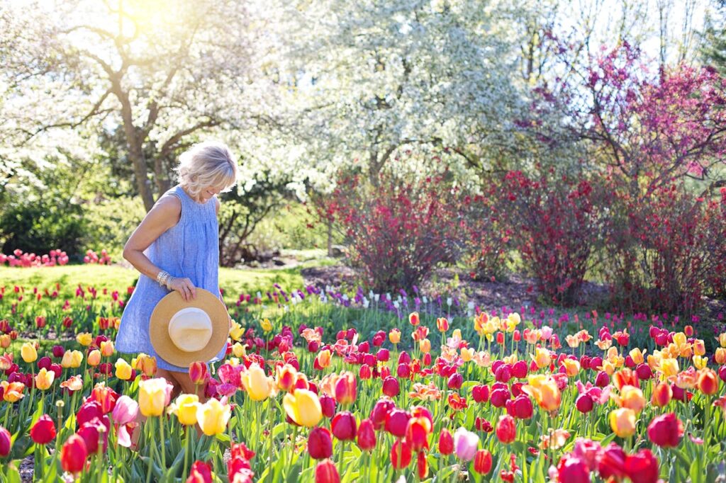 Scopri quali fiori piantare in giardino